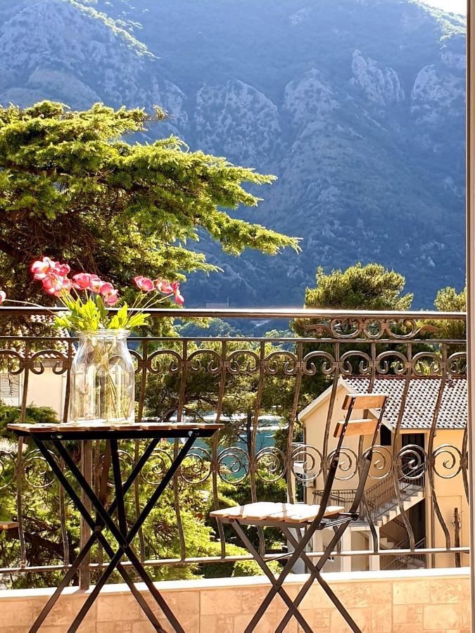 The Nest - Urban Family Place Kotor Kültér fotó